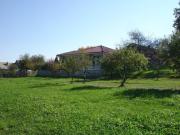 d3_DSC07843.jpg